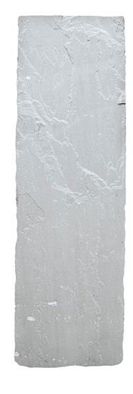 Sichtschutzplatten Grey 2,20 x 0,50